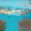 プールで泳いでいる人の視点をビデオ撮影