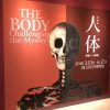 国立科学博物館「人体」特別展〜消化管コーナーで紹介されていました。（6月17日まで）
