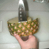 Pineapple の実験～タテ切りCTの必要性に関する考察